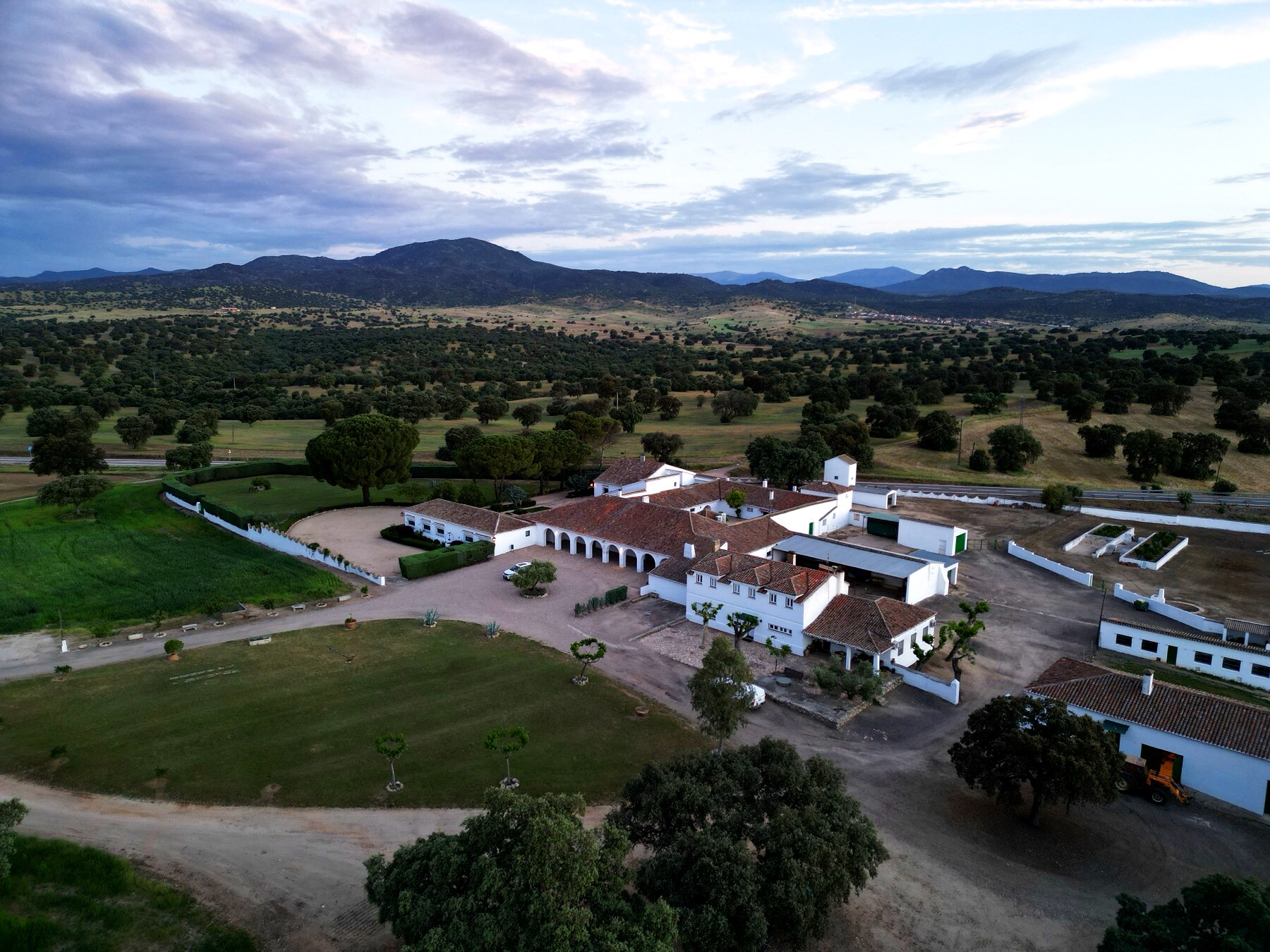 Dehesa ibérica al amanecer · sur de Europa