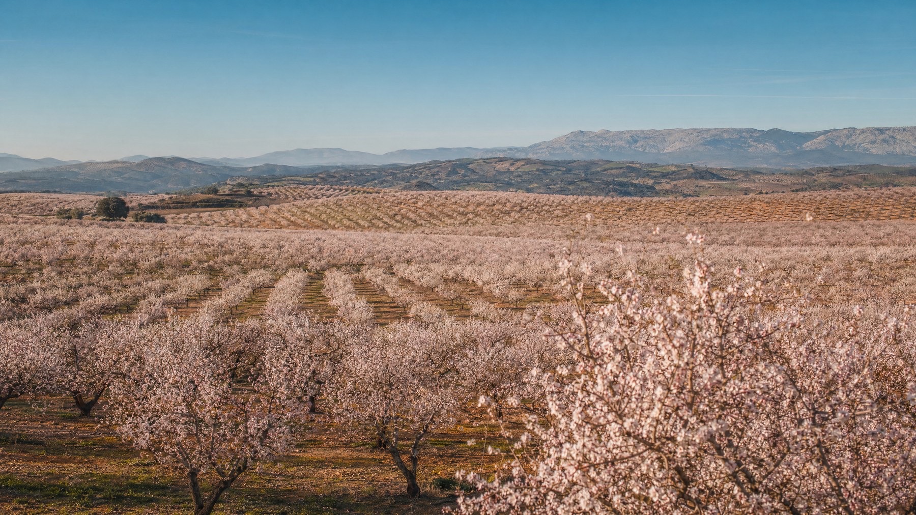 La Ronca · vista aérea · España